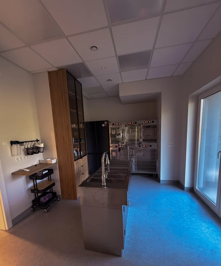 Gabinet weterynaryjny SmileVet Poznań - szpital