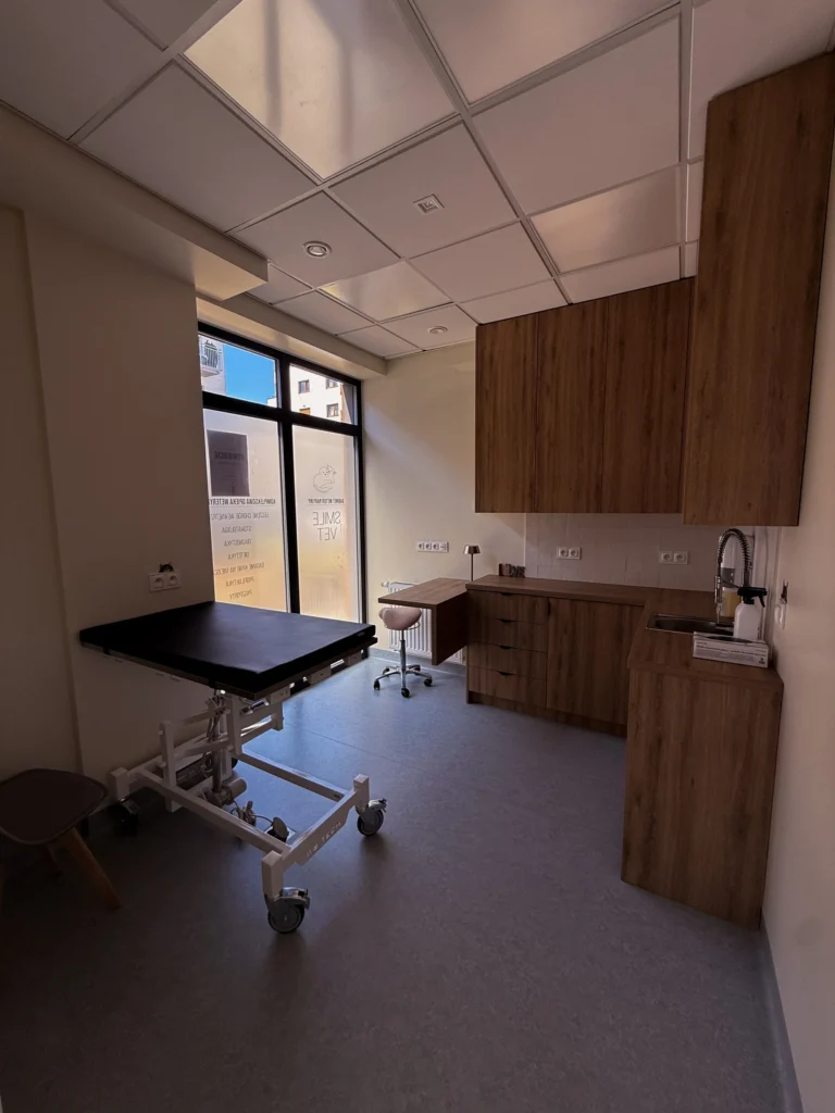 Gabinet weterynaryjny SmileVet Poznań - gabinet 2