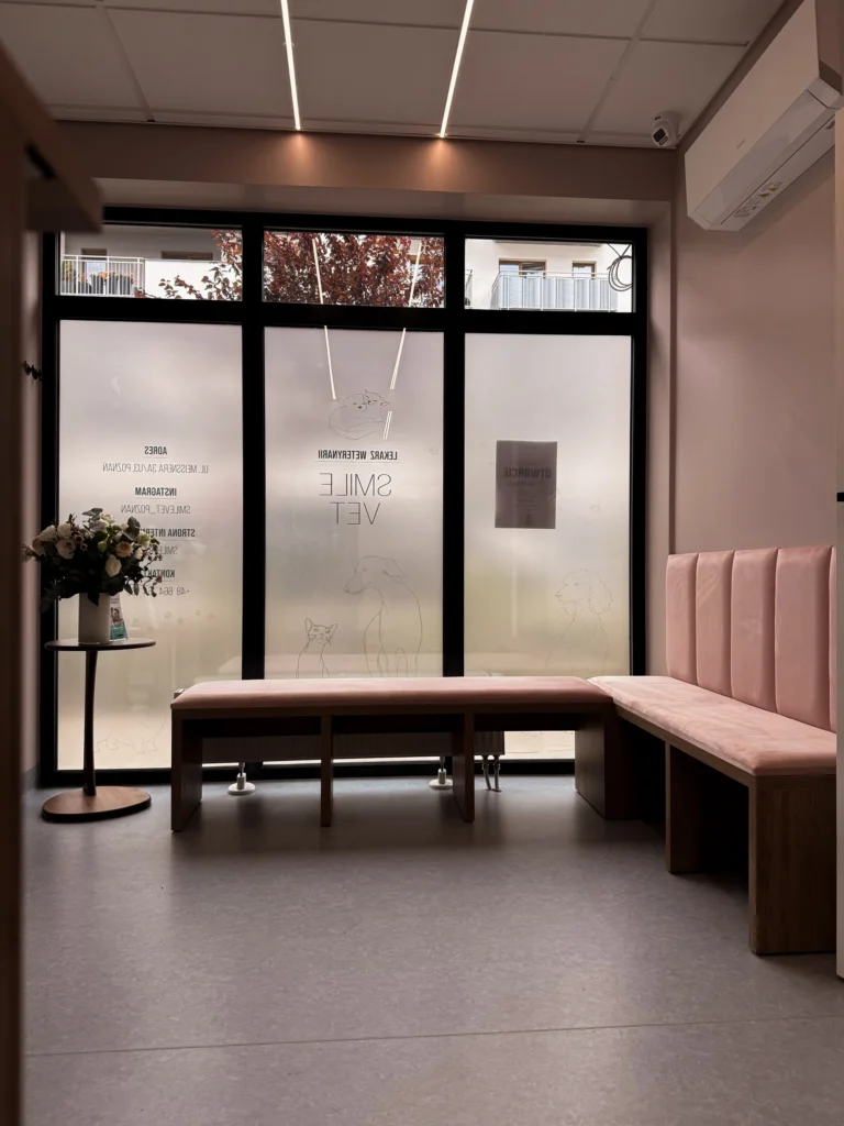 Gabinet weterynaryjny SmileVet Poznań - poczekalnia